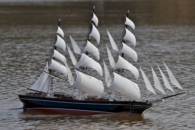 DSC04031 © Peter Taylor 2011