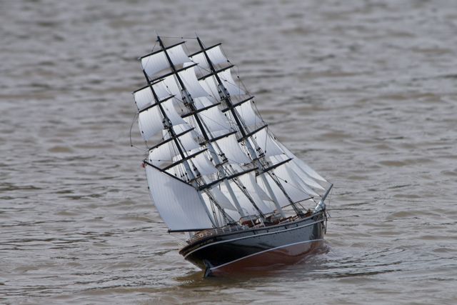 DSC03936 © Peter Taylor 2011