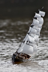 DSC04064 © Peter Taylor 2011