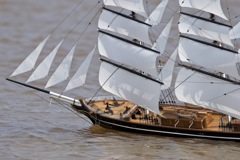 DSC04042 © Peter Taylor 2011