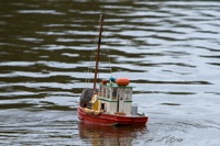 DSC05092 © Peter Taylor 2011