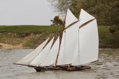 DSC03148 © Peter Taylor 2013