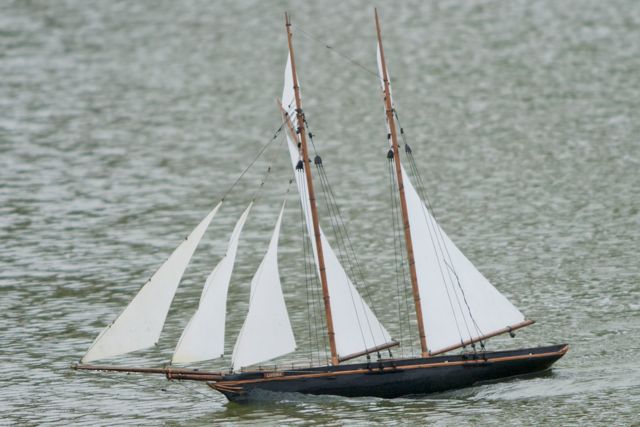 DSC08314 © Peter Taylor 2011