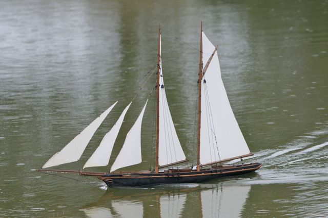 DSC08260 © Peter Taylor 2011