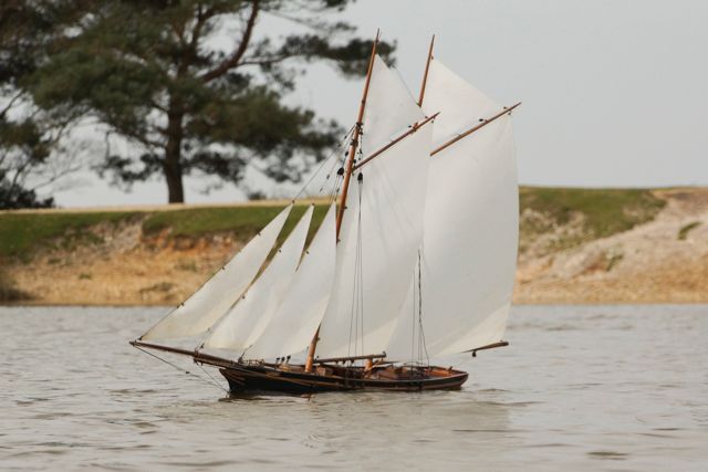 DSC03132 © Peter Taylor 2013