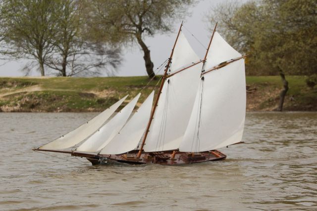 DSC03143 © Peter Taylor 2013
