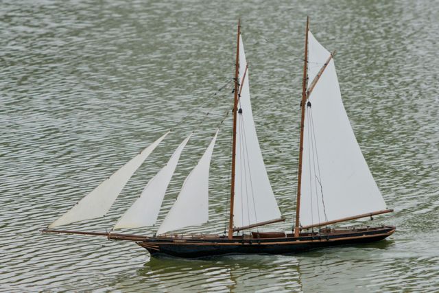 DSC08322 © Peter Taylor 2011