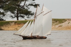 DSC03132 © Peter Taylor 2013