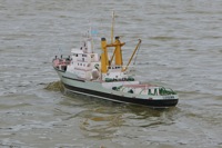 DSC00422 © Peter Taylor 2012