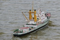 DSC00407 © Peter Taylor 2012