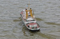 DSC00406 © Peter Taylor 2012