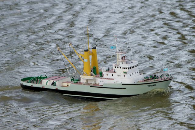 DSC08106 © Peter Taylor 2011