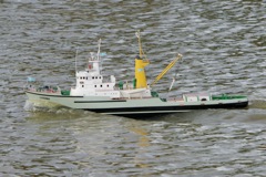 DSC08109 © Peter Taylor 2011