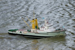 DSC08106 © Peter Taylor 2011