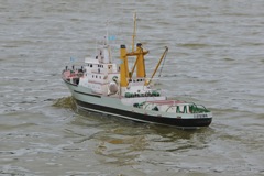 DSC00422 © Peter Taylor 2012