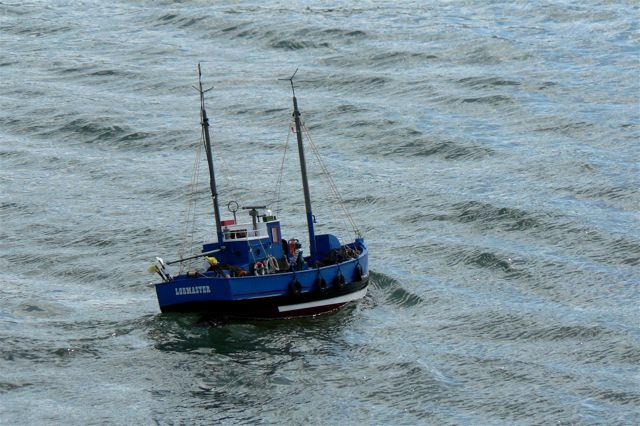 Lobmaster P1010662.JPG