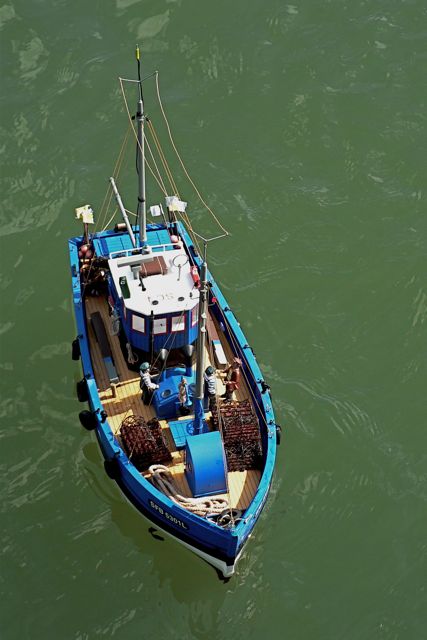 Lobmaster P1010676.JPG