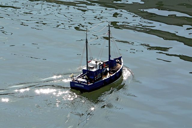 Lobmaster P1010631.JPG