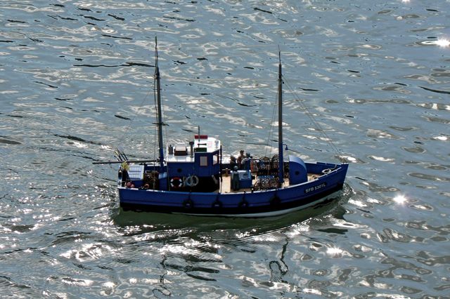 Lobmaster P1010635.JPG