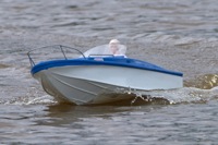 DSC05758 © Peter Taylor 2011