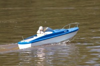DSC06286 © Peter Taylor 2011