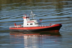 DSC01075 © Peter Taylor 2012