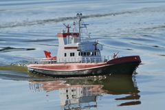 DSC01081 © Peter Taylor 2012