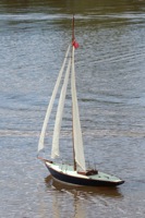 DSC02595 © Peter Taylor 2011