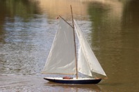 DSC06132 © Peter Taylor 2011