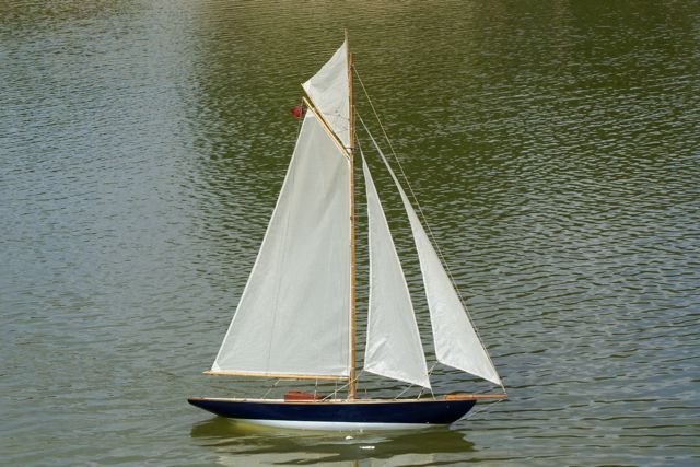 DSC00805 © Peter Taylor 2009