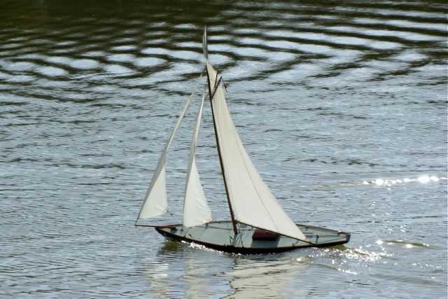 DSC09257 © Peter Taylor 2009