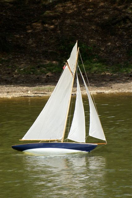 DSC00809 © Peter Taylor 2009