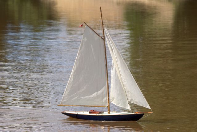 DSC06132 © Peter Taylor 2011