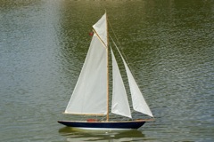 DSC00805 © Peter Taylor 2009