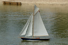 DSC00800 © Peter Taylor 2009