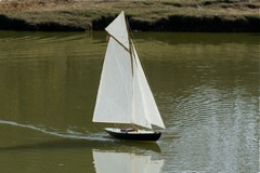 DSC09241 © Peter Taylor 2009