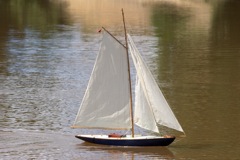 DSC06132 © Peter Taylor 2011