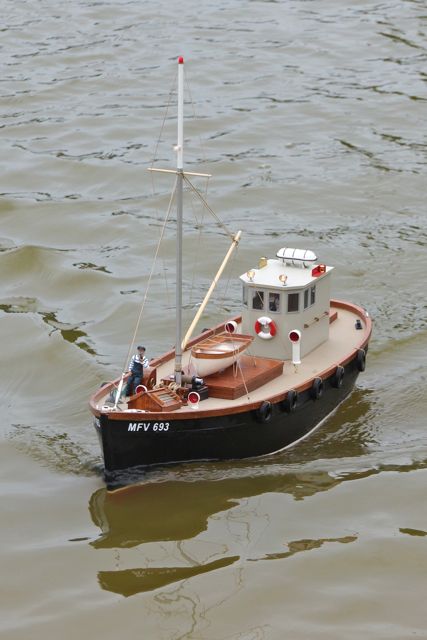 DSC00428 © Peter Taylor 2012