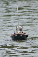 DSC00362 © Peter Taylor 2012