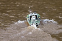 DSC04302 © Peter Taylor 2011