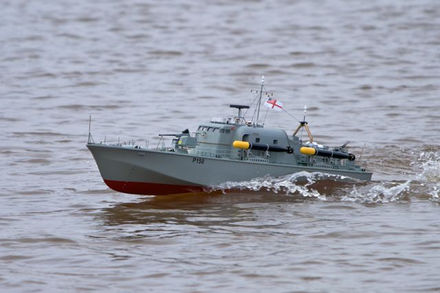 DSC04209 © Peter Taylor 2011