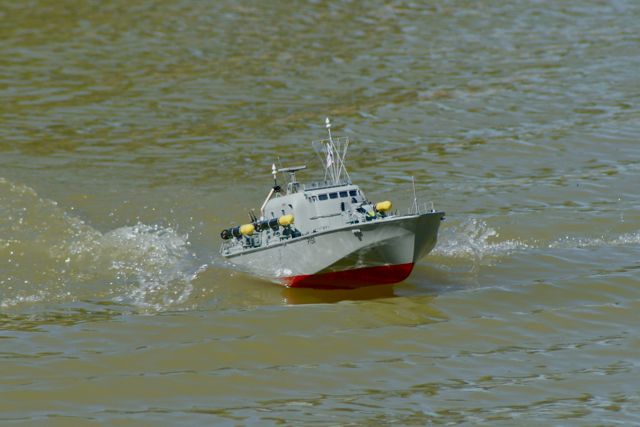 DSC01452 © Peter Taylor 2010