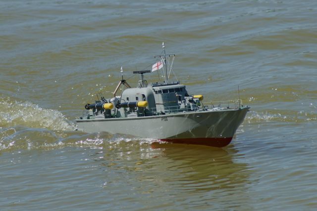 DSC01445 © Peter Taylor 2010