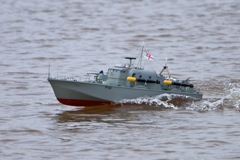 DSC04209 © Peter Taylor 2011