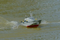DSC01452 © Peter Taylor 2010
