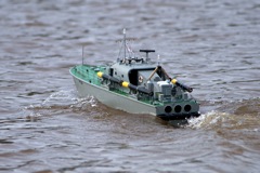 DSC04388 © Peter Taylor 2011