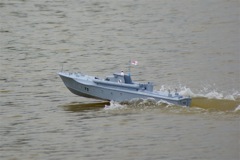 A100.07081101 © Peter Taylor 2007