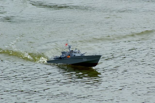 DSC02996 © Peter Taylor 2007