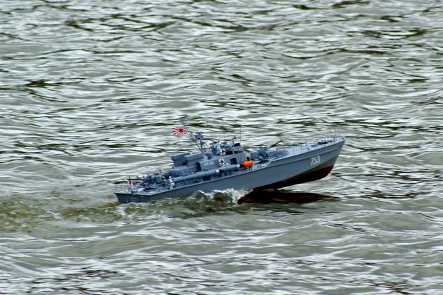 DSC03229 © Peter Taylor 2007