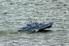 DSC03229 © Peter Taylor 2007
